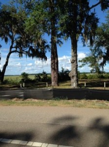 Black Silt Fencing On Parris Island