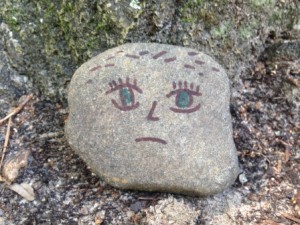 Lonely Pet Rock Living Near Parris Island, South Carolina