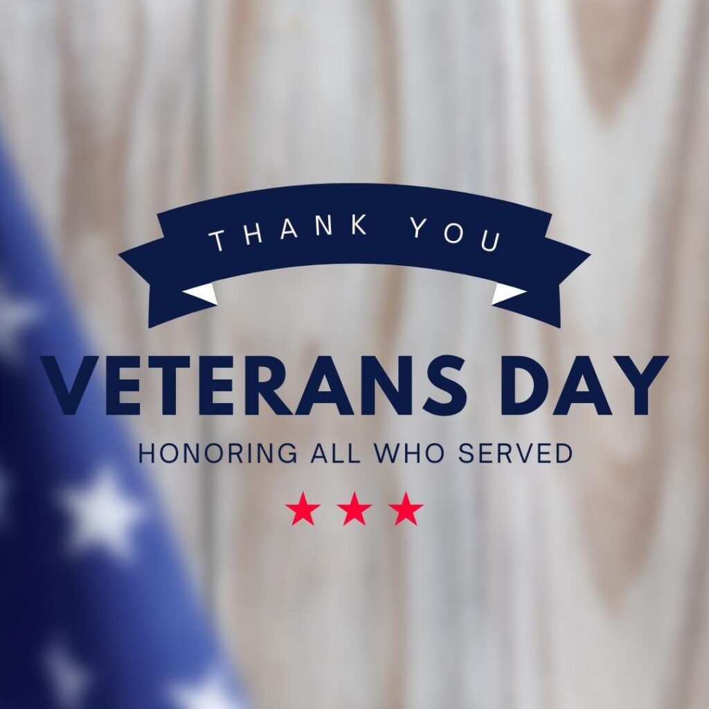 Veterans Day Graphic